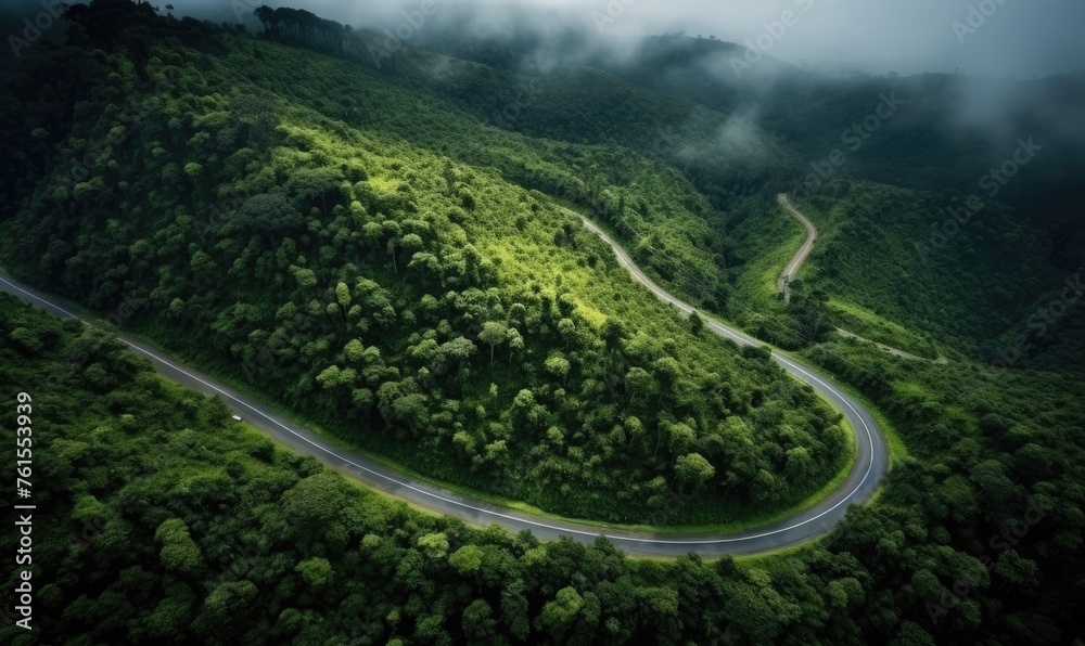 winding road in the middle of the rainforest, after the rain falls