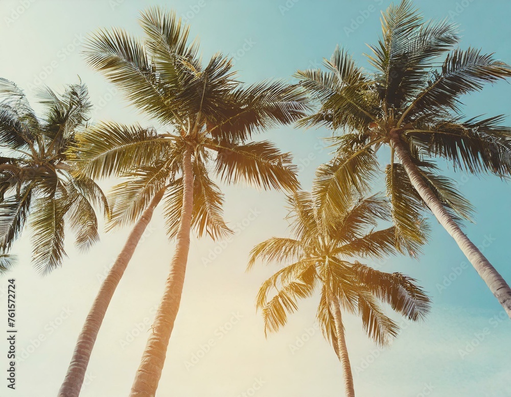 Fototapeta premium Palm trees against blue sky, palm trees on tropical coast,
