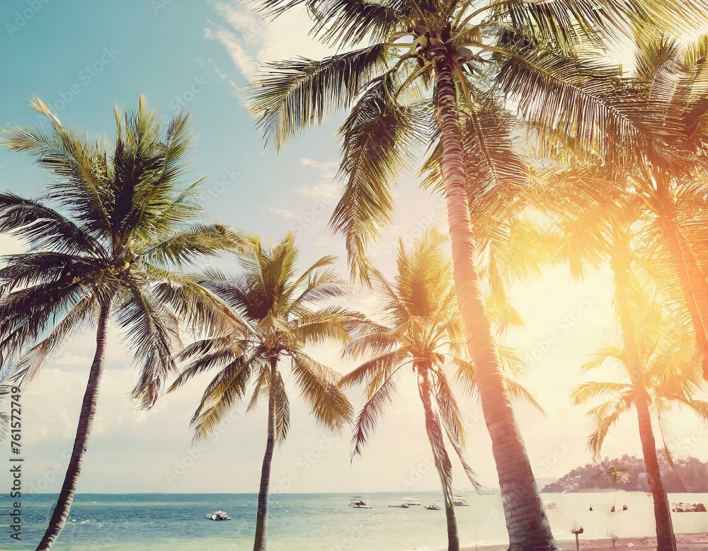 Palm trees against blue sky, palm trees on tropical coast,