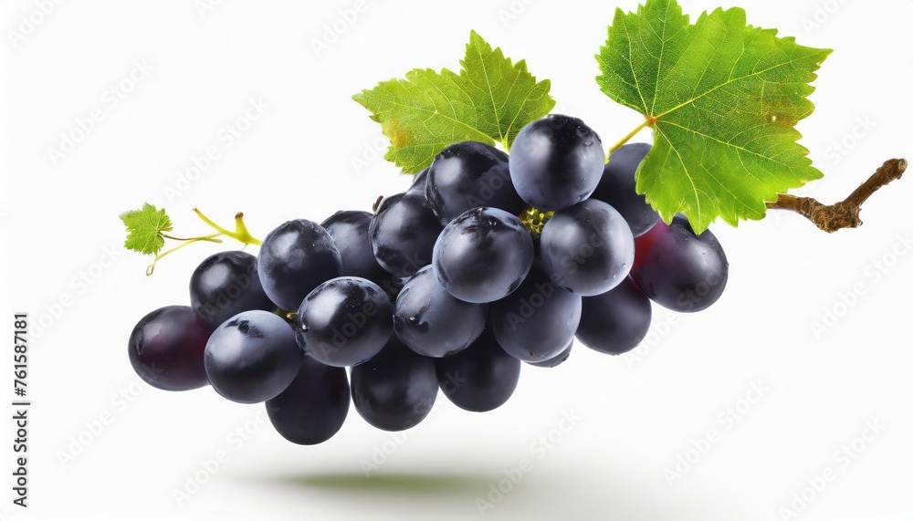 Black grapes with green leaf flying in the air isolated on white background..