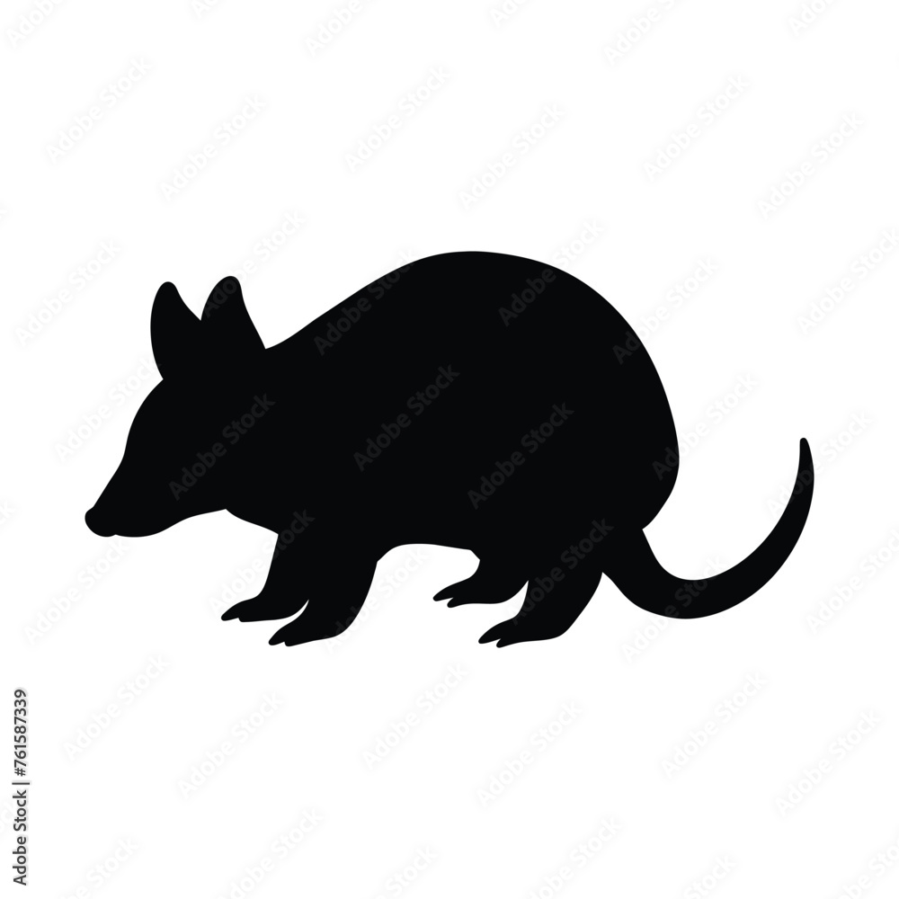 Obraz premium silhouette of a Armadillo on white