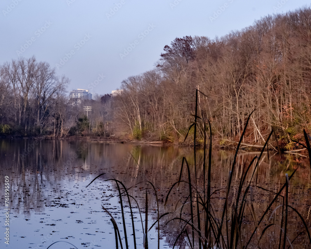 Obraz premium landscape