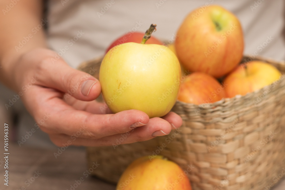 Basket of Fresh Apples in Female Hands. Close-up of hands holding a basket full of ripe apples.