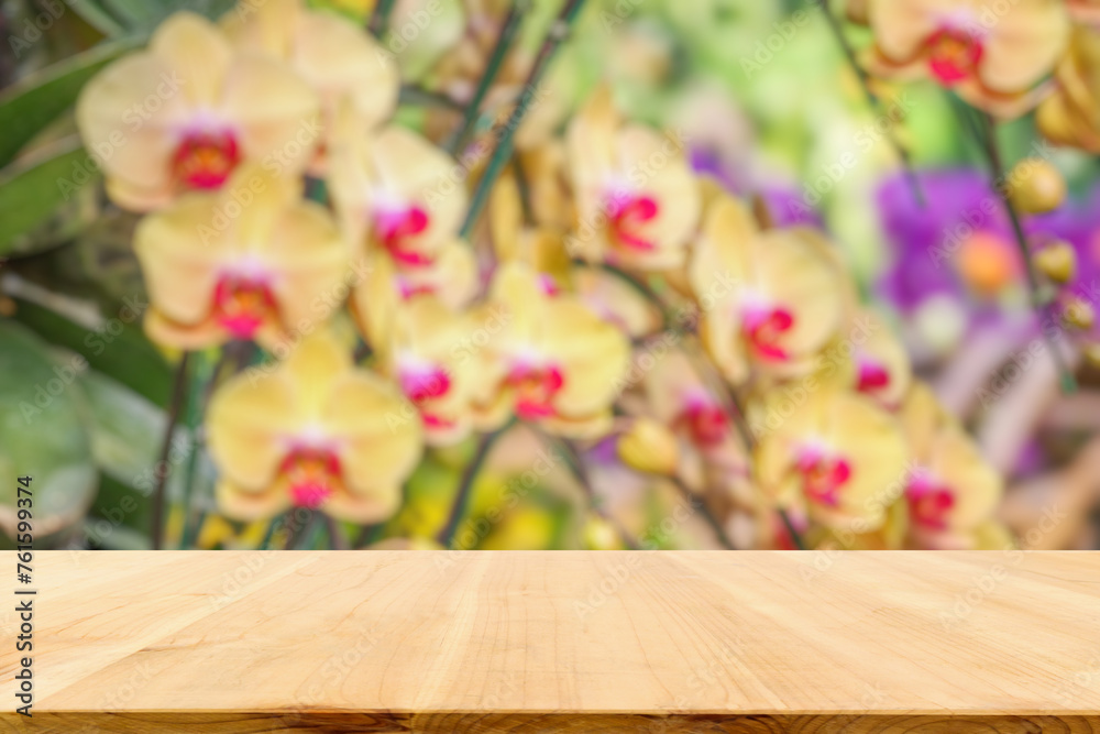 Empty wood table top with blur orchid garden background for product display Empty wood table top with blur orchid garden background for product display