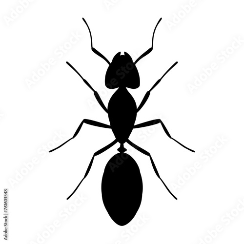 Ant silhouette icon. Vector image