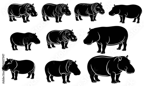 Hippo vector and silhouette big collection set for graphic recourse in isolated white background