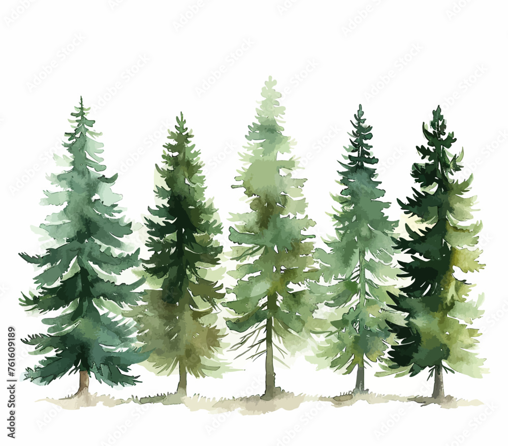 Pine Tree Watercolours