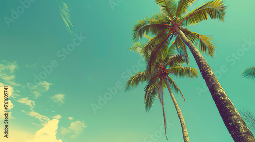 Tropical summer vacation background with palm trees and a blue sky