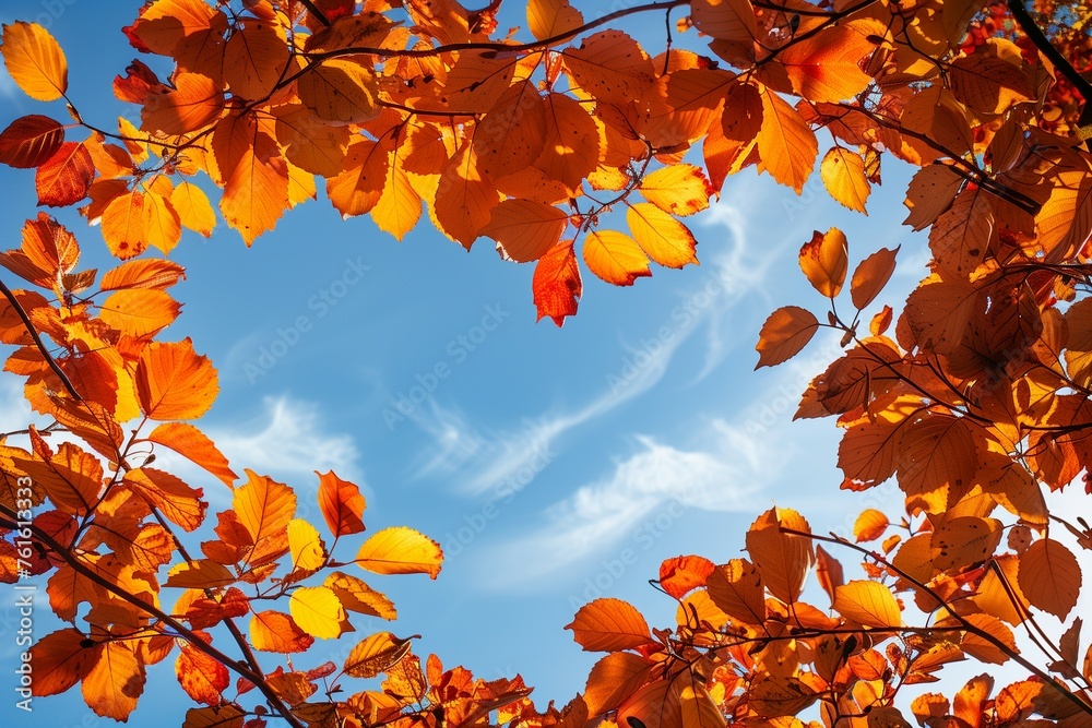 Autumn love background featuring orange and yellow leaves arranged in the shape of a heart against the backdrop of a blue sky. The heart-shaped sky peeks through the vibrant autumn trees in the park, 