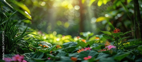 Lush Botanical Garden: Tropical Forest Basking in Sunlight with Vibrant Flowers