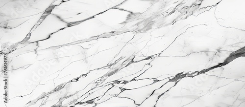 A detailed closeup of a white marble texture, reminiscent of snowy slopes in a monochrome landscape with a pattern similar to wood grain or twigs on grassy soil