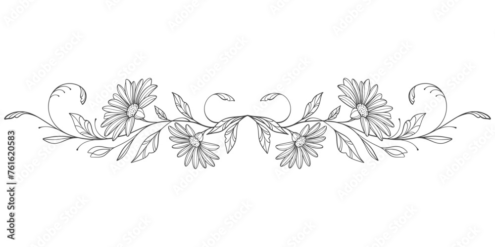 Sketch Floral Botany pattern. flower drawings. Black and white with line art on transparent backgrounds. Hand Drawn Botanical Sketch Floral Botany pattern. flower drawings. Black and white with line art on transparent backgrounds. Hand Drawn Botanical