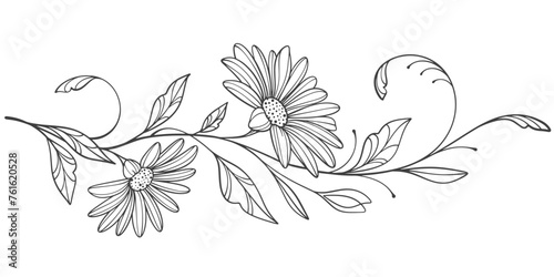Sketch Floral Botany pattern. flower drawings. Black and white with line art on transparent backgrounds. Hand Drawn Botanical 