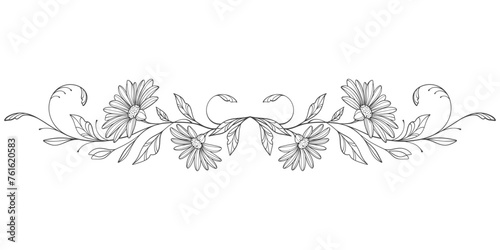 Sketch Floral Botany pattern. flower drawings. Black and white with line art on transparent backgrounds. Hand Drawn Botanical 