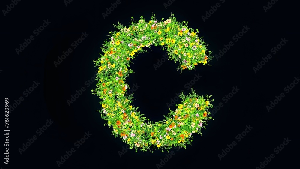 Beautiful illustration of English alphabet C with colorful flowers and green grass on plain black background Beautiful illustration of English alphabet C with colorful flowers and green grass on plain black background