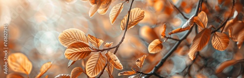 Closeup of golden beech leaves on a tree branch in autumn, with a blurred background Generative AI