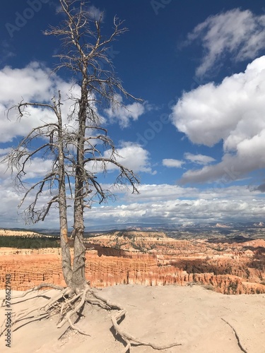 special scenery at Bryce Canyon natural park