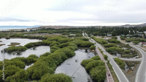 shrubs in the Argentina Lake  photo