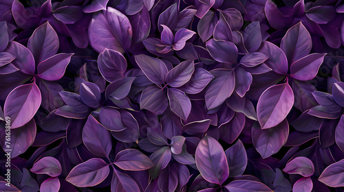photographic background of lush purple iredescend leaves © john