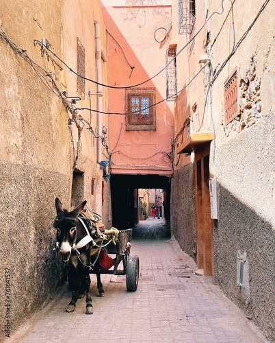 donkey and cart in the streets of Marrakech, Morocco
