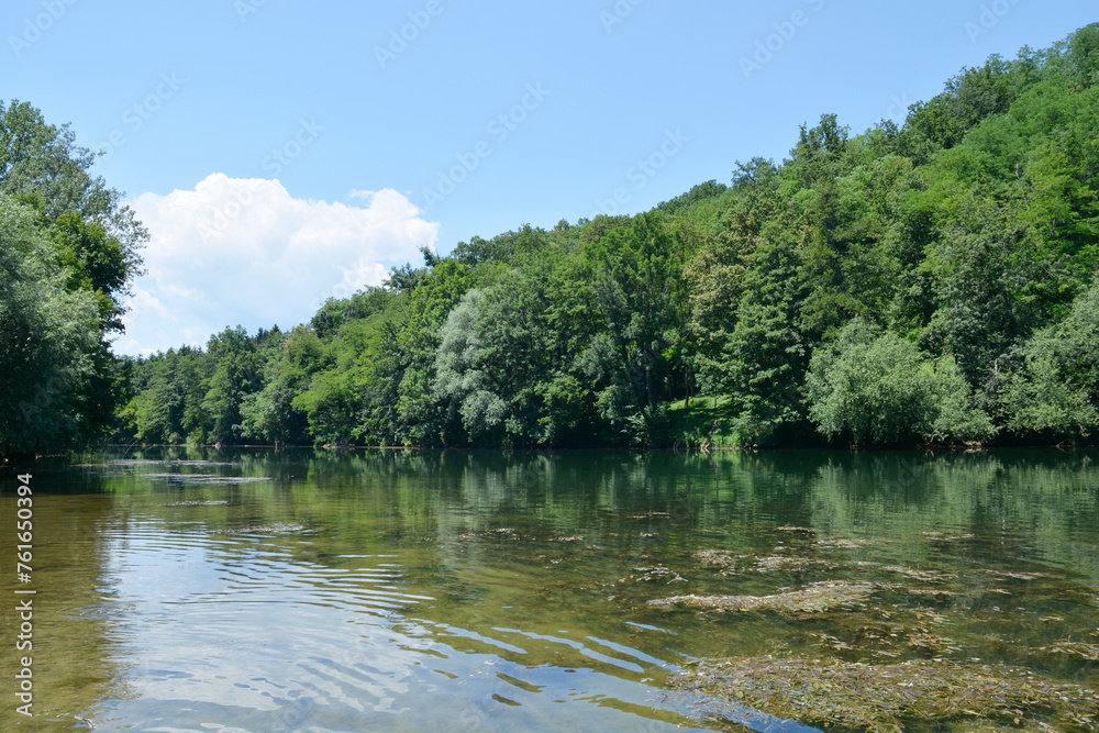 Detail of river Kupa near Orljakovo in Croatia