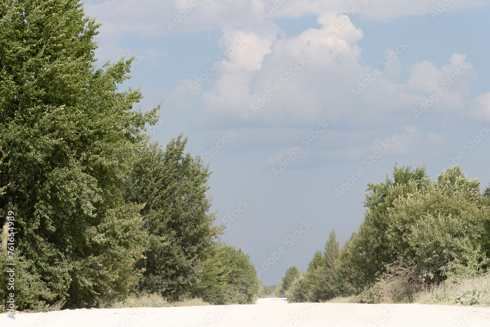 Natural landscape - among green trees and bushes, a white sandy road goes far into the distance to the horizon