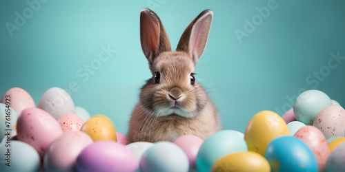 Wallpaper Mural Cozy Easter card template. Funny easter bunny with eggs. Happy Easter backdrop. Spring celebrations background. Torontodigital.ca