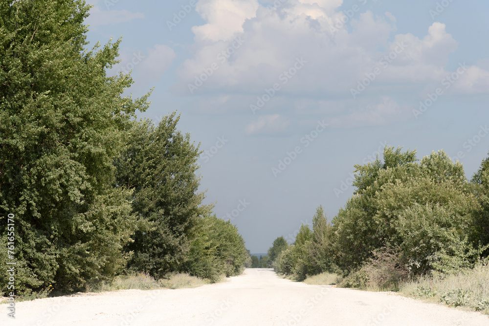 Natural landscape - among green trees and bushes, a white sandy road goes far into the distance to the horizon