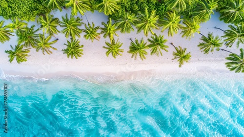 Tranquil aerial view of maldives island beach with palm trees on white sandy shore © Eva
