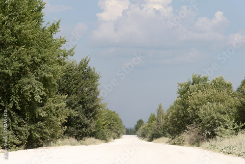 Obraz na płótnie Natural landscape - among green trees and bushes, a white sandy road goes far into the distance to the horizon w salonie