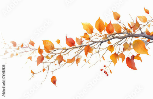 Watercolor autumn branch clipart isolated on transparent background