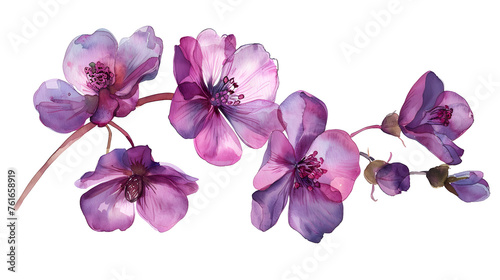 Purple Watercolor Floral Branch Isolated