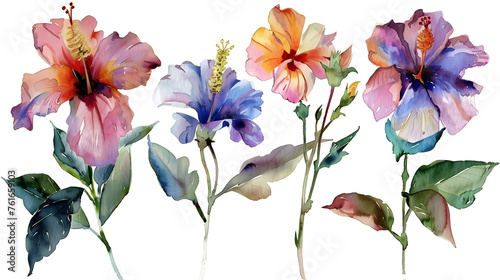 Common Garden Flowers Watercolor Series #761659103