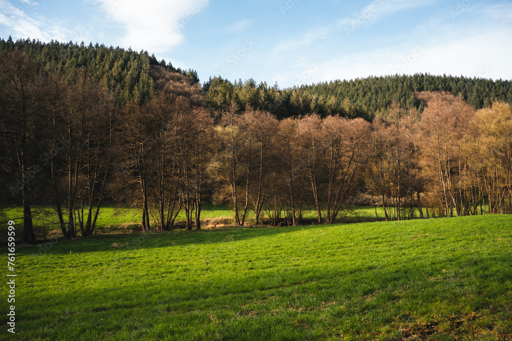 Obraz premium Vinxtbachtal zwischen Bad Breisig und Waldorf, März 2024