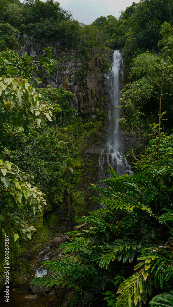 Grüner Wasserfall Grüner Wasserfall