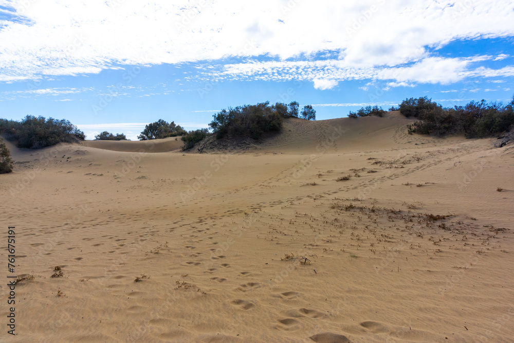 Maspalomas Dunes on Gran Canary Island Spain. Maspalomas Dunes on Gran Canary Island Spain.