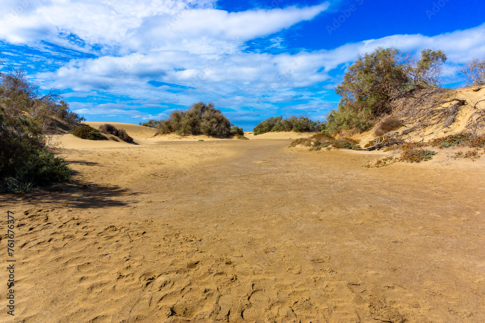 Maspalomas Dunes on Gran Canary Island Spain Maspalomas Dunes on Gran Canary Island Spain