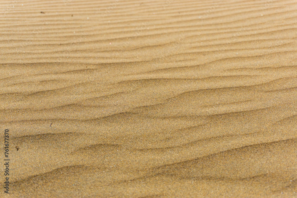 Maspalomas Dunes on Gran Canary Island Spain Maspalomas Dunes on Gran Canary Island Spain
