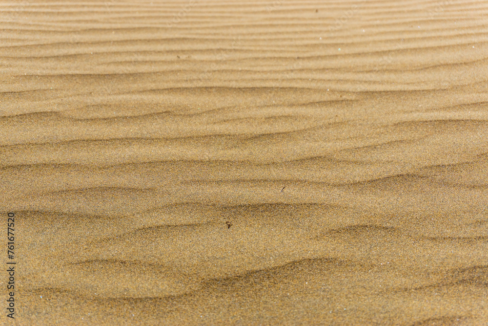 Maspalomas Dunes on Gran Canary Island Spain Maspalomas Dunes on Gran Canary Island Spain