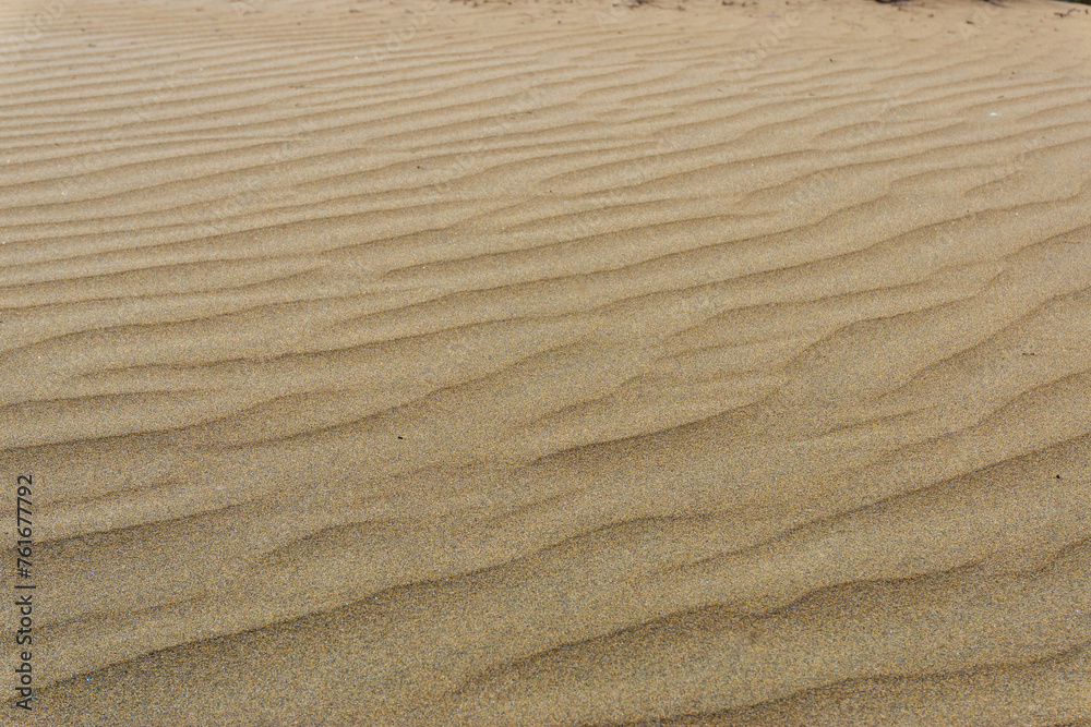 Maspalomas Dunes on Gran Canary Island Spain Maspalomas Dunes on Gran Canary Island Spain
