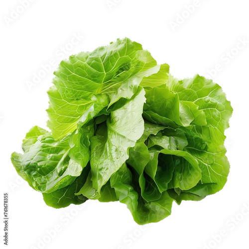 Lettuce , isolated on transparent background