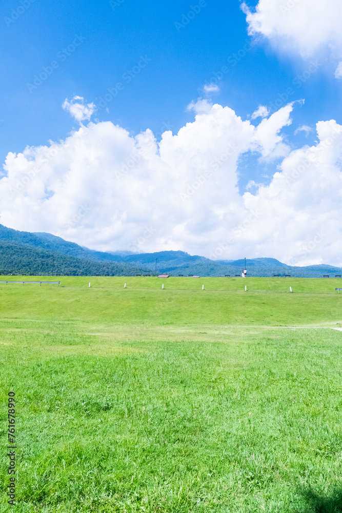 Landscape view of green grass on slope with clouds and blue sky,Beautiful green hills, pastures and trees,space for text,copy space.