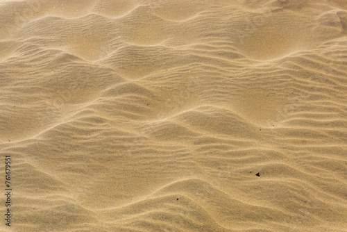 Maspalomas Dunes on Gran Canary Island Spain © Sharidan