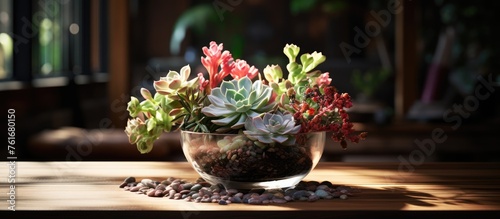 Succulent in a vase on a table