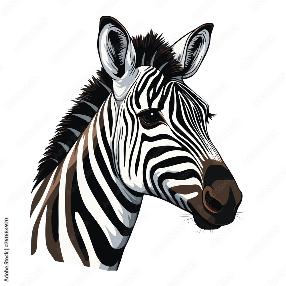 Striking Zebra Clipart Clipart isolated on white background