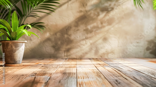 Potted plant - palm with lush green leaves on a wooden floor, casting a shadow against a textured wall, surrounded by the soft glow of natural light, creating a serene atmosphere.