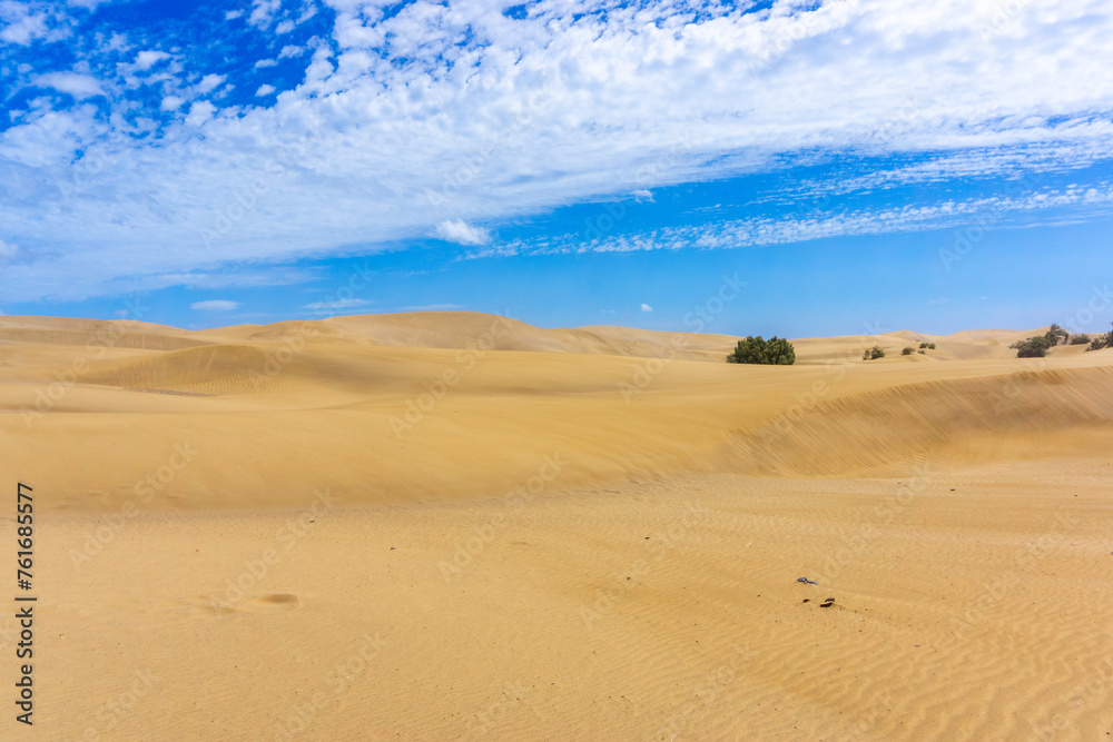Dunes and Coastline of Maspalomas on Gran Canary Island Dunes and Coastline of Maspalomas on Gran Canary Island