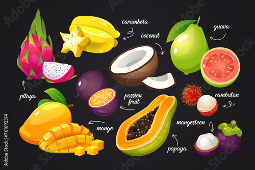 Vector collection of tropical ripe and juicy fruits in cartoon style with pitaya, mango, passion fruits, carambola, coconut, huava, rambutan, mangosteen, papaya.
