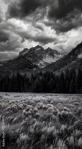Professional monochrome photography of coniferous forest, meadow with grass and snowy mountain peak in clouds. Graphic black and white poster of wild autumn landscape. Photo shot for interior painting