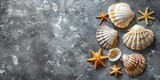 shells and starfish creating a frame, copy space banner
Concept: design of tourist brochures, beach shops, summer promotions and campaigns related to seaside holidays and travel.